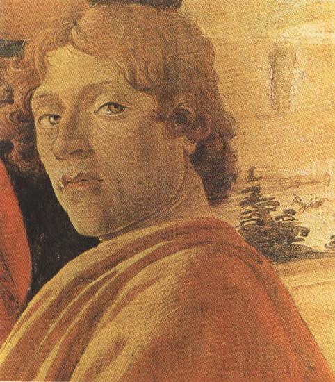 Sandro Botticelli Young man in a Yellow mantle (mk36)